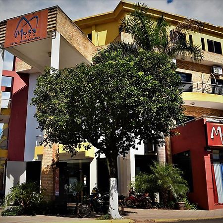 Musa Hotel Villarrica Bagian luar foto