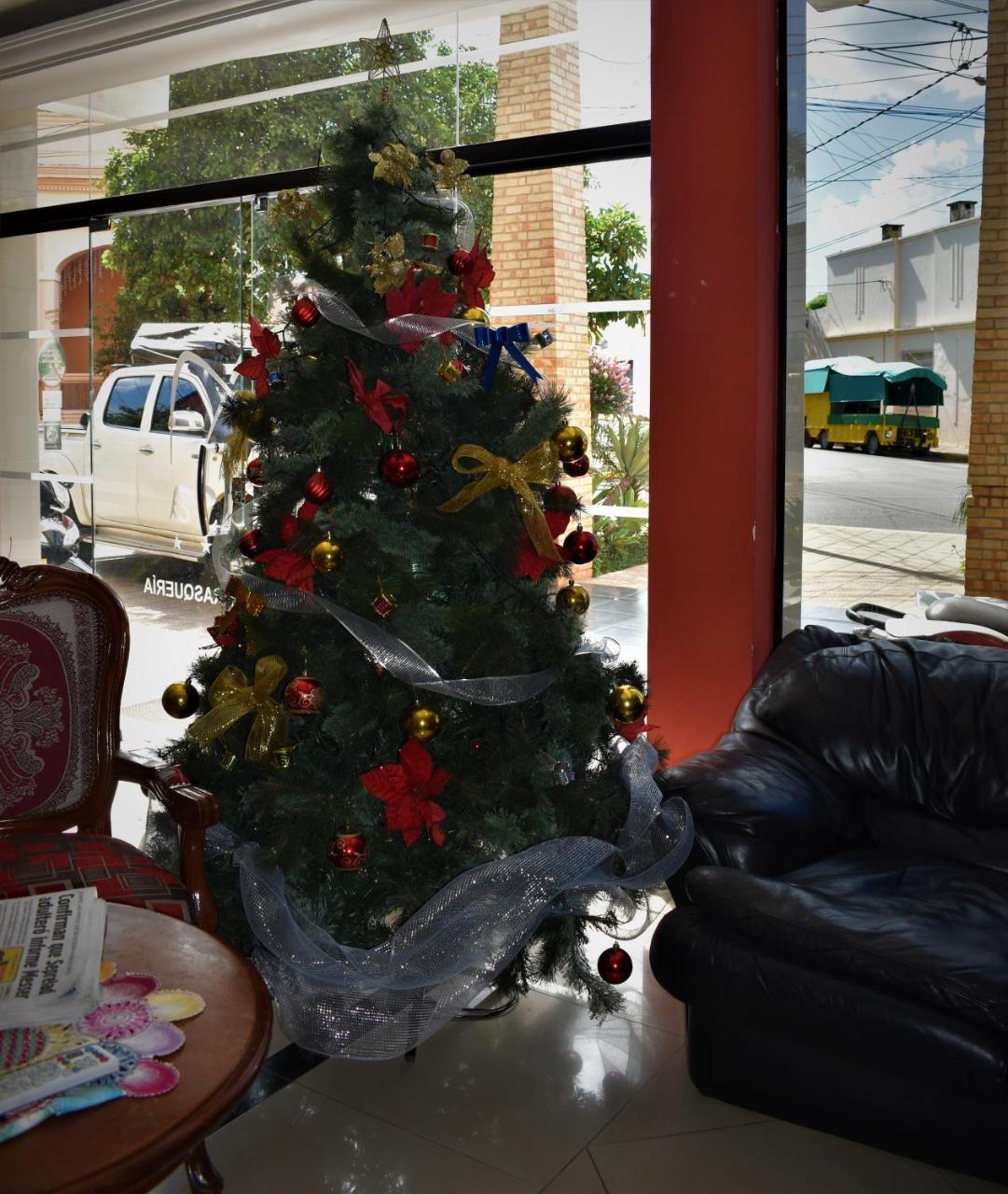 Musa Hotel Villarrica Bagian luar foto